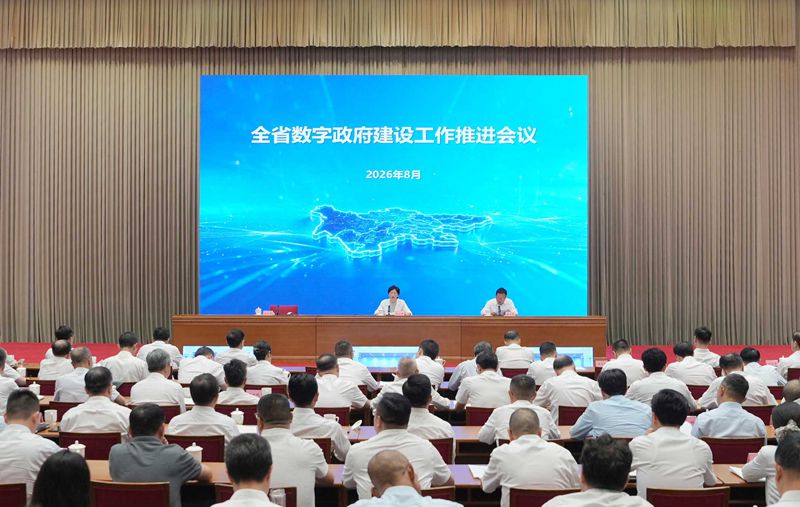 施小琳在全省数字政府建设工作推进会议