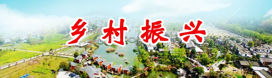 邓立军就《四川省城市更新“十五五”规