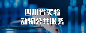 开元549棋app下载携手西甲联赛开