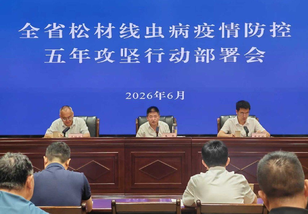 再按需打开相关阅读