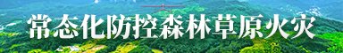 机构设置