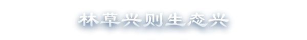 更多阅读