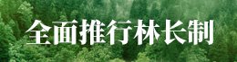 机构设置