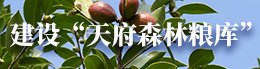 网站首页