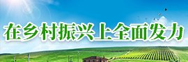 网站首页 / 无障碍浏览