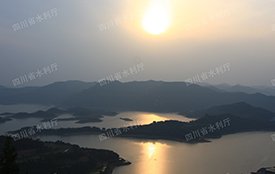 水利厅党组理论开元596牌棋app网
