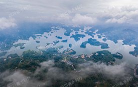 武引中心全力做好灌区防汛抗旱工作