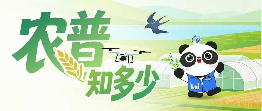 更多阅读